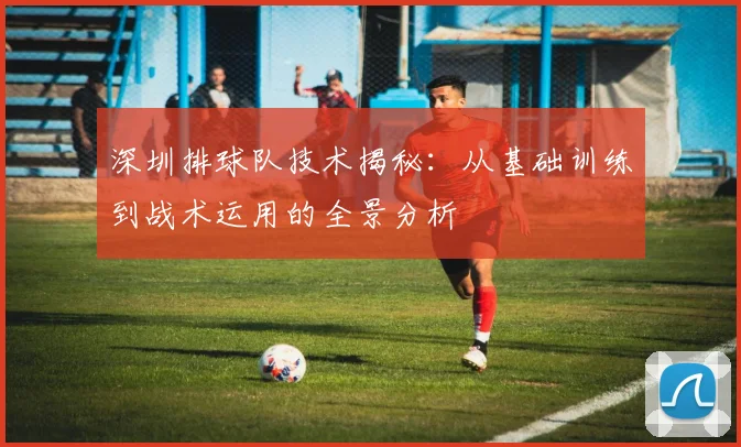 深圳排球队技术揭秘:从基础训练到战术运用的全景分析