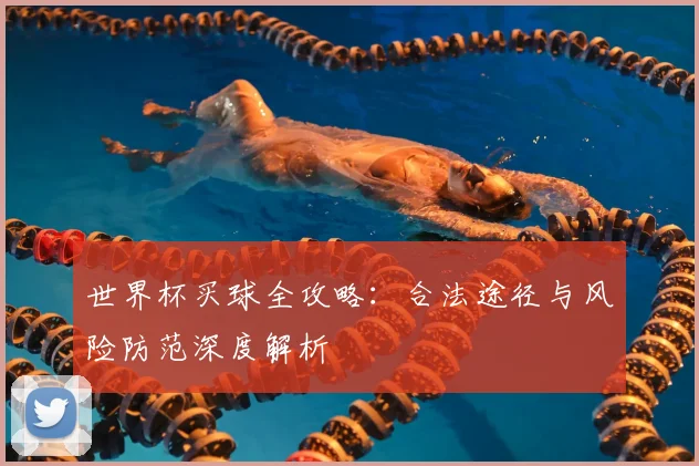 世界杯买球全攻略:合法途径与风险防范深度解析
