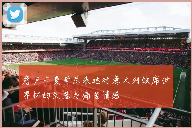 詹卢卡曼奇尼表达对意大利缺席世界杯的失落与痛苦情感