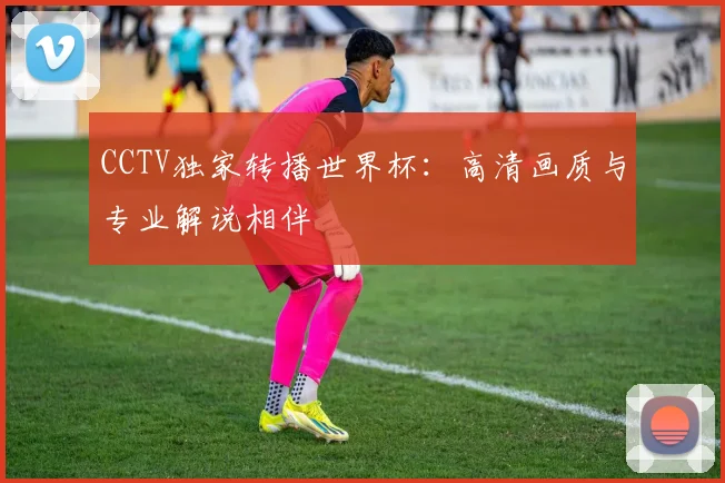 CCTV独家转播世界杯:高清画质与专业解说相伴