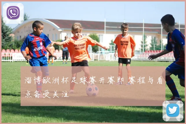 淄博欧洲杯足球赛开赛即 赛程与看点备受关注