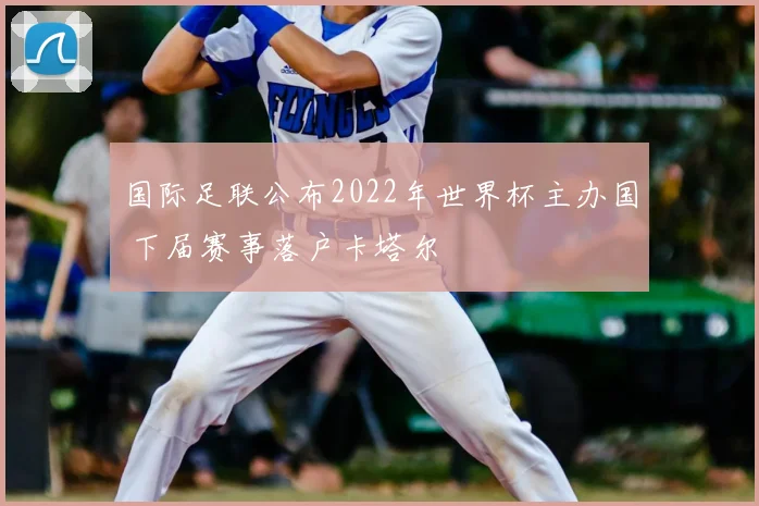 国际足联公布2022年世界杯主办国 下届赛事落户卡塔尔