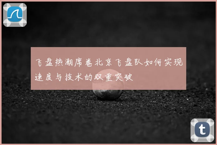 飞盘热潮席卷北京飞盘队如何实现速度与技术的双重突破