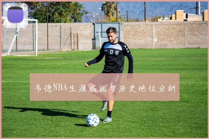 韦德NBA生涯成就与历史地位分析