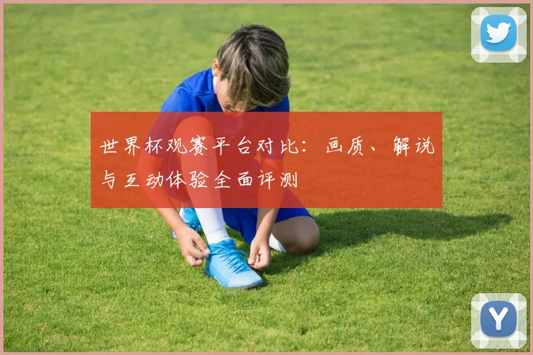 世界杯观赛平台对比:画质、解说与互动体验全面评测