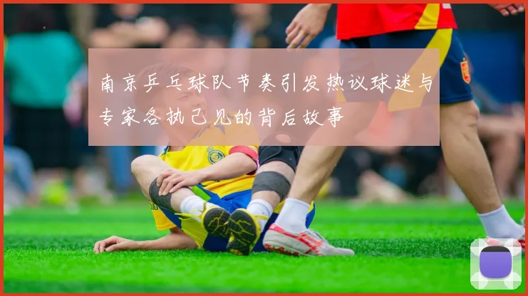 南京乒乓球队节奏引发热议球迷与专家各执己见的背后故事