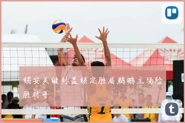 锡安关键封盖锁定胜局鹈鹕主场险胜对手