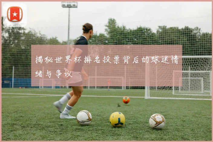 揭秘世界杯排名投票背后的球迷情绪与争议