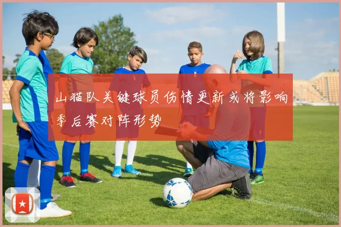 山猫队关键球员伤情更新或将影响季后赛对阵形势